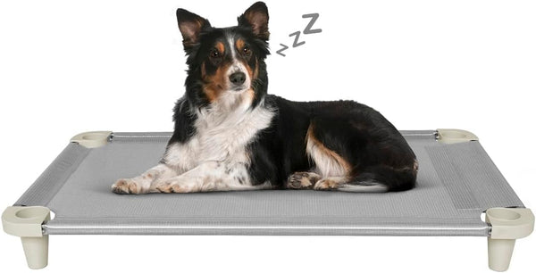 Acrimet Cooling Elevated Pet Dog Bed Cot, Washable Breathable Mesh Fabric, Stainless Steel Frame, Indoor & Outdoor Use