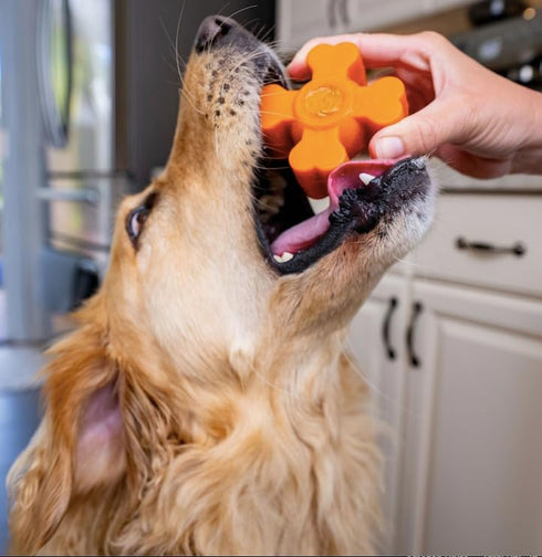 Tough Pup Puck Dog Toy for Aggressive Chewers, Long Lasting Chew Toys, Stuffable Center with Treats, Easy to Clean