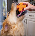 Tough Pup Puck Dog Toy for Aggressive Chewers, Long Lasting Chew Toys, Stuffable Center with Treats, Easy to Clean
