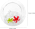 50g Cabilock Betta Fish Hiding Hideaway Aquarium Decor with Shelter, Sea Star and Rhinestones, Tropical Fish Tank