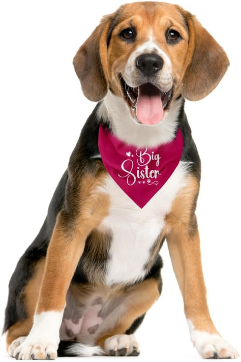 WDSXWH (D23) Big Sister Dog Bandana, Big Sister Bandana for Dog, Dogs Bandanas for Small Medium Dogs, Baby Announcement