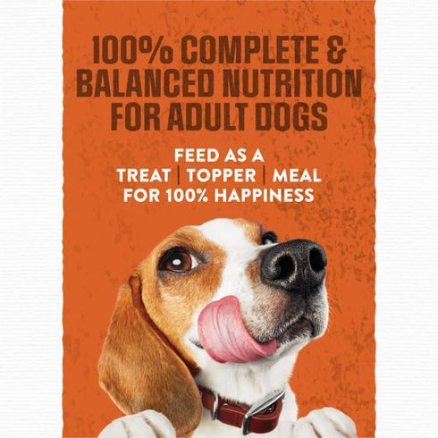 FYNORI 100% 36 Burger with Cheddar Cheese Flavor Dry Soft Dog Food Pouches, Made with Real Beef, Complete & Balanced