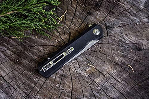 Firebird GANZO FH11 Pocket Folding Knife - D2 Steel Flip Blade, G10 Anti-slip Handle, Black