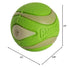 Chuckit! Max Glow Ultra Squeaker Ball, Medium (2.5 Inch Diameter), 1 Pack for Breeds 20-60 lbs