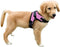 No Pull Reflective Adjustable Dog Harness With Handle - Comfortable Soft All Weather Mesh, Easy On Puppy Harness (Pink)