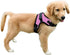 No Pull Reflective Adjustable Dog Harness With Handle - Comfortable Soft All Weather Mesh, Easy On Puppy Harness (Pink)