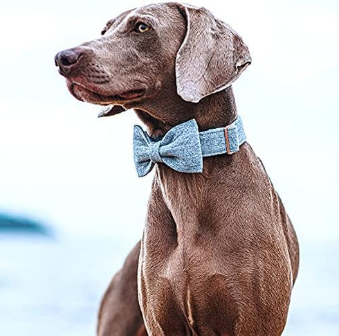 DOGWONG Hemp Cotton Dog Collar - Blue Adjustable Pet Collar with Bow for Medium Dogs