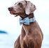 DOGWONG Hemp Cotton Dog Collar - Blue Adjustable Pet Collar with Bow for Medium Dogs
