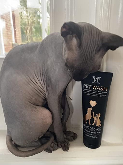 Watermans Pet Wash for Dogs & Cats, Best Dog Shampoo for Skin and Coat Problems, UK Made