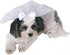 Rubie's Wedding Veil Pet Accessory, Small/Medium