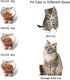 Nihow Elevated Cat/Dog Bowls: 5 Inch Ceramic Raised Food & Water Bowl Set, Elegant Brown for Protecting Pet's Spine
