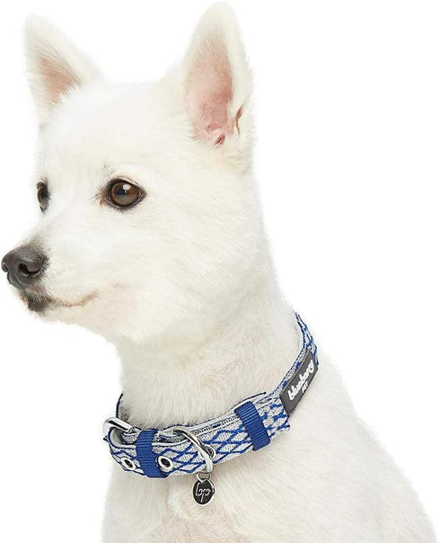 Blueberry Pet Diamond Pattern Adjustable Neoprene Padded Dog Collar - Royal Blue, Neck 17-20.5", for Large Breed