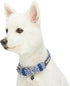 Blueberry Pet Diamond Pattern Adjustable Neoprene Padded Dog Collar - Royal Blue, Neck 17-20.5", for Large Breed
