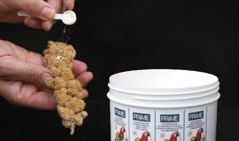 Hagen Prime Parrot Vitamin, Mineral, and Amino Acid Supplement for Seed Eating Birds, 1.1 oz
