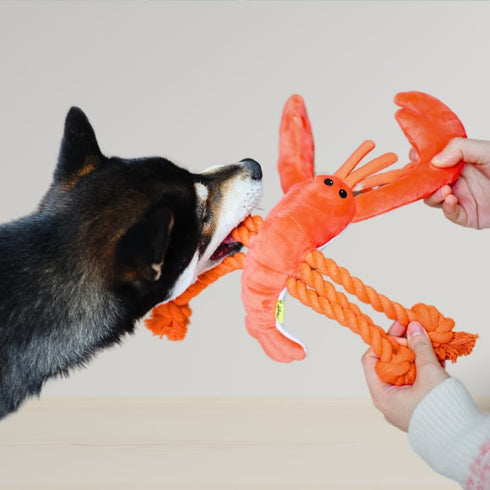 Lobster Dog Toy, Large Squeaky Toys, Tug of War Toy for Large Dogs, Interactive Plush Toy for Puppies and Dogs