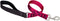 LupinePet Originals Traffic Lead/Leash for Medium and Larger Dogs, 2-foot, 1" Plum Blossom