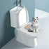 Cat Toilet Training Kit Litter Box Alternative with Tray, Reusable Potty Seat Adapter for Cats & Kittens, Hygienic