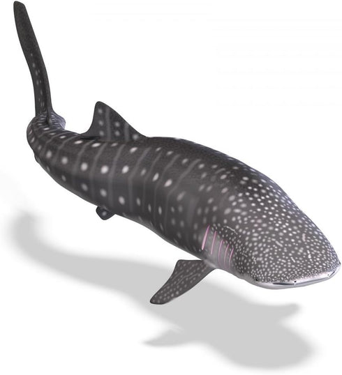Wallmonkeys Whale Shark Wall Decal Peel and Stick Graphic WM28697 (24 in H x 24 in W)