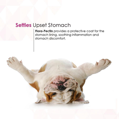 Upset (30 Oral Paste for Dogs & Cats Fast Diarrhea Relief & Firm Stool Support, Helps Stomach, Reduces Occasional Loose