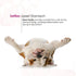 Upset (30 Oral Paste for Dogs & Cats Fast Diarrhea Relief & Firm Stool Support, Helps Stomach, Reduces Occasional Loose