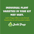 18x18x25 Josh's Frogs Crested Gecko Vivarium Plant Kit