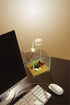 Marina CUBUS Glass Betta Kit - Elegant Glass Aquarium for Homes or Offices