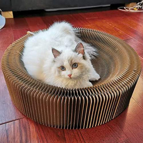 Collapsible Round Shape Cat Scratcher Lounge Bed for Big Cat