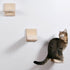 2 PCS Cat Wall Shelves, Wood Cat Climber, Wall Mount Cat Climbing Ladder, Cat Perch, Indoor Cat Furniture