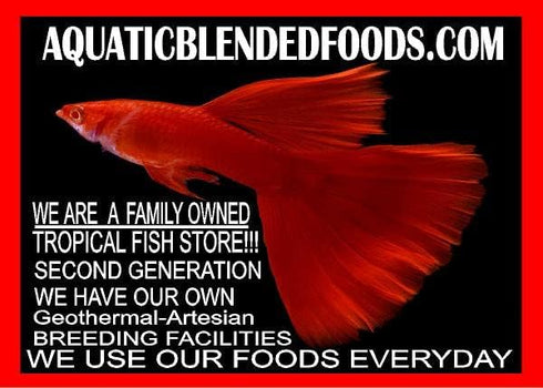 Aquaticblendedfoods A382 (4oz) Mini Bloodworm Sticks with Salmon,Spirulina,Brine Shrimp,Fish Food,Axolotl Food