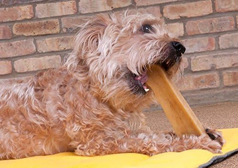Downtown Pet Supply Yak Cheese Himalayan Dog Chews - Regular Nutrient-Rich Chews for Small to Medium Dogs - 0.5 LB