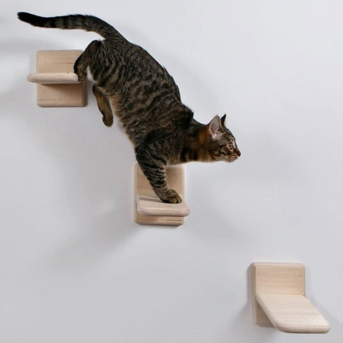 2 PCS Cat Wall Shelves, Wood Cat Climber, Wall Mount Cat Climbing Ladder, Cat Perch, Indoor Cat Furniture