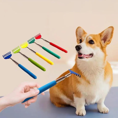 2PC Cat Comb Telescopic Teaser Wand Retractable Scratch Comb Tickle Handy Interactive Play Toy for Small Animal Rabbit
