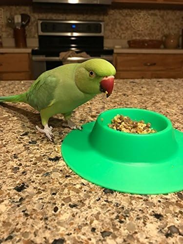 Tip-Proof Ergonomic Pet Bowl for Guinea Pig, 1/4-Cup Small Size, Spring Green