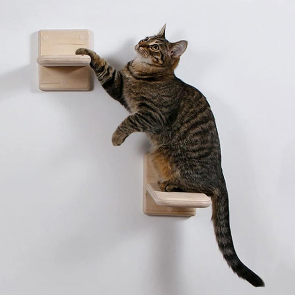 2 PCS Cat Wall Shelves, Wood Cat Climber, Wall Mount Cat Climbing Ladder, Cat Perch, Indoor Cat Furniture
