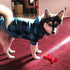 KOOLTAIL Plaid Dog Hoodie Pet Clothes Sweater with Hat and Pocket for Small Medium Large Dogs, Soft Winter Coat, Blue