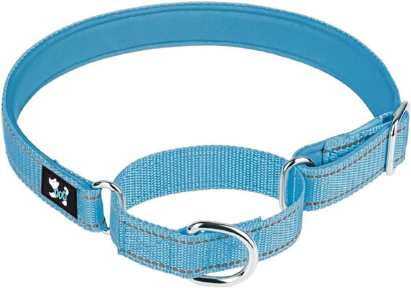Martingale Heavy Duty Nylon Dog Collar, Soft Neoprene Padded Collar for Small Medium Large Dogs (S, Blue)