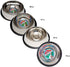 Hilo Stainless Steel Non-Skid Pet Feeding Dish - 24 oz