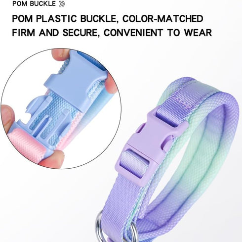 Fashionable Gradient Dog Collar in Macaron & Dopamine Shades, Breathable Mesh Padding, Durable POM Buckle, Blue XS
