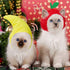 Weewooday 5 Pieces Cat Costume - Easter Bunny Hat Outfit with Ears for Funny Cat and Small Dogs Kitten Puppy Party