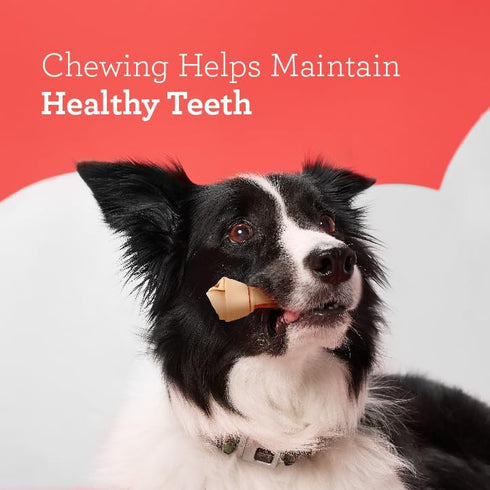 Dreambone Vegetable & Chicken Dog Chews, 4-Count, Rawhide Free, Medium (3 Pack)