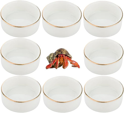 DQITJ 8 Pcs Hermit Crab Ceramic Water Bowl, Tarantula Mini Food Dish for