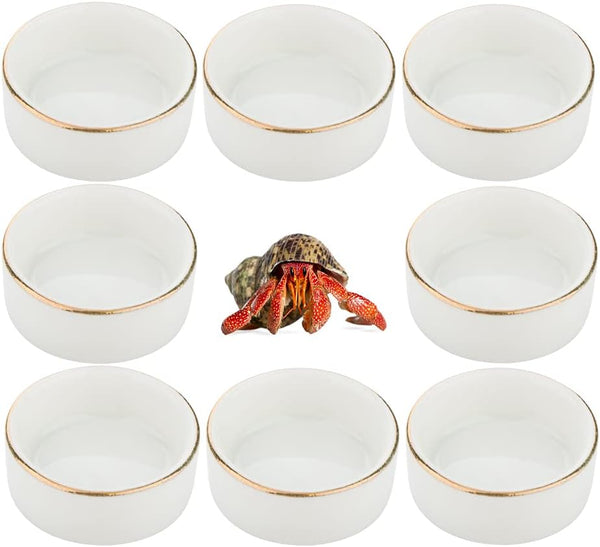 DQITJ 8 Pcs Hermit Crab Ceramic Water Bowl, Tarantula Mini Food Dish for
