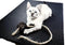 Feline Yogi Cat Yoga Mat with Catnip Cat Toy. Cat Scratching Post, Bed, Activity