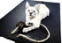 Feline Yogi Cat Yoga Mat with Catnip Cat Toy. Cat Scratching Post, Bed, Activity