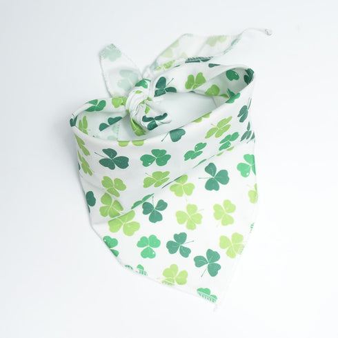 AIMPLANACT 1 x Green Four Leaf Clover Cat Scarf Small Dog Cat Pet Burp Scarf Neck Warmer Jewelry
