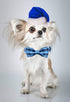 Unique Style Paws Soft & Comfy Bowtie Dog Collar and Cat Collar, 6 Sizes & 7 Patterns for Pets