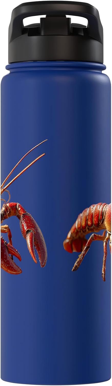 Funny Lobsters for Crab and Lobster Lover Lobster Crustaceans Large Crab Red Lobsters Cute Lobster Stainless Steel