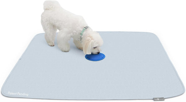 2ct Paw Inspired Speed Spot Go Here Potty Training Puppy Pads with