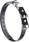 Quick Snap Bungee Dog Collar Strap with D Ring, Adjustable Durable Waterproof Replacement for Electronic Training