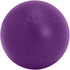 10 Inches/Large, (310 Jolly Pets Push-n-Play Ball Dog Toy, Red RD)